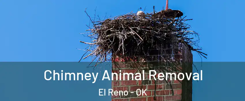 Chimney Animal Removal El Reno - OK